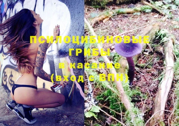 стафф Абаза