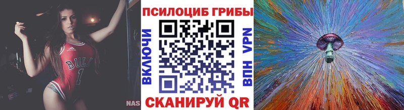 Псилоцибиновые грибы мицелий  Александров 
